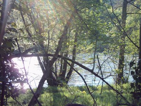 Ballade entre bocage et suisse normande