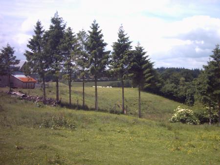 en vall�e de la Druance...